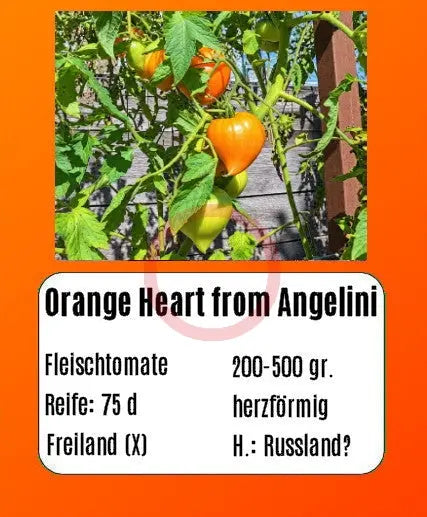 Orange Heart from Angelini DER TOMATENFLÜSTERER