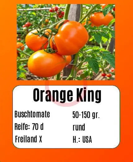 Orange King DER TOMATENFLÜSTERER