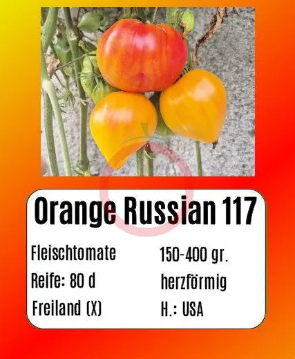 Orange Russian 117 DER TOMATENFLÜSTERER