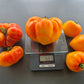 Orange Russian 117 DER TOMATENFLÜSTERER