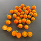 Orange Sukkerknald DER TOMATENFLÜSTERER