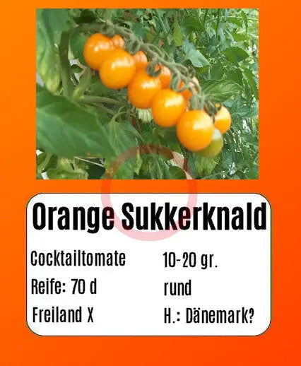 Orange Sukkerknald DER TOMATENFLÜSTERER