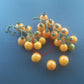 Orange Sukkerknald DER TOMATENFLÜSTERER