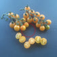 Orange Sukkerknald DER TOMATENFLÜSTERER