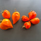 Orange Heart from Angelini