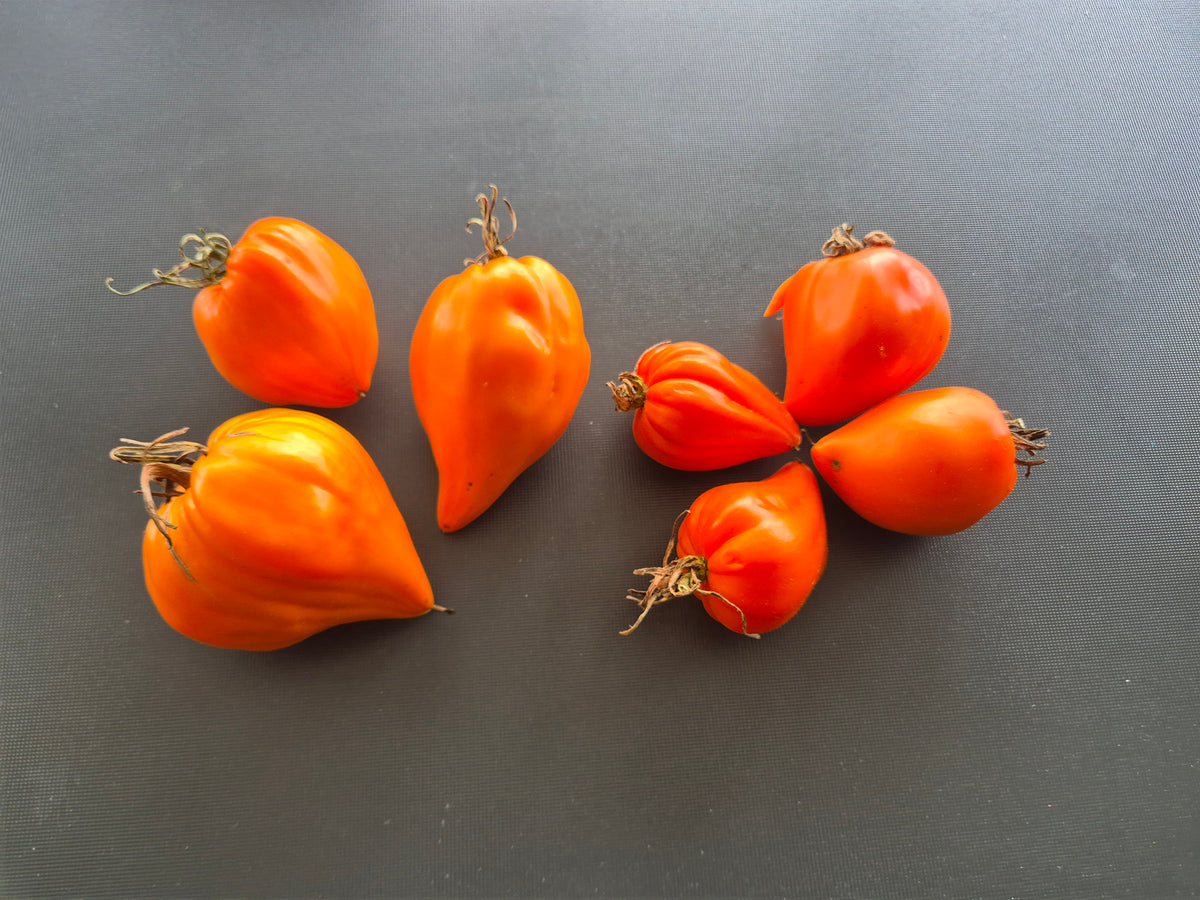 Orange Heart from Angelini
