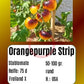 Orangepurple Strip DER TOMATENFLÜSTERER