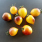 Orangepurple Strip DER TOMATENFLÜSTERER