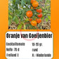 Oranje van Goeijenbier DER TOMATENFLÜSTERER