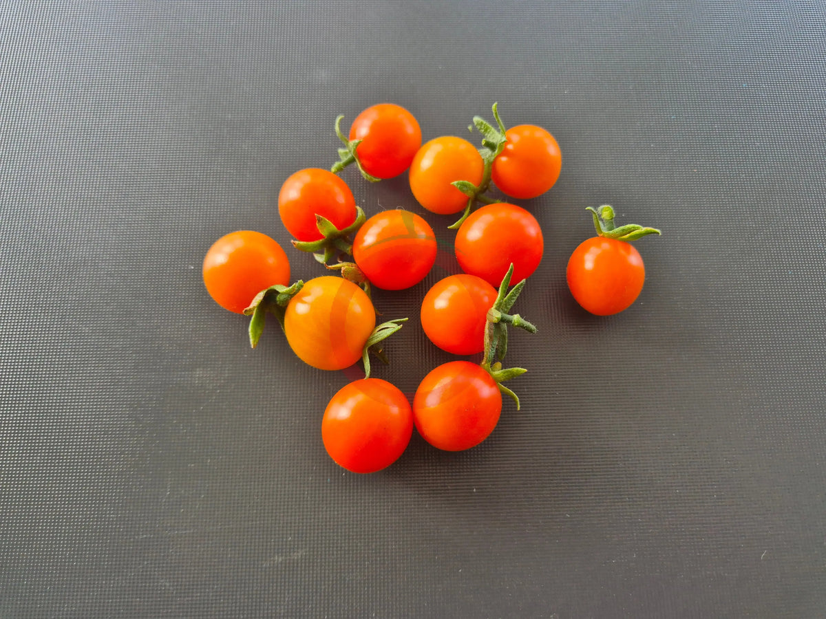 Oranje van Goeijenbier DER TOMATENFLÜSTERER