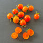 Oranje van Goeijenbier DER TOMATENFLÜSTERER