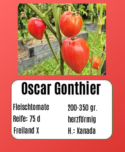 Oscar Gonthier DER TOMATENFLÜSTERER