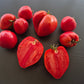 Oscar Gonthier DER TOMATENFLÜSTERER