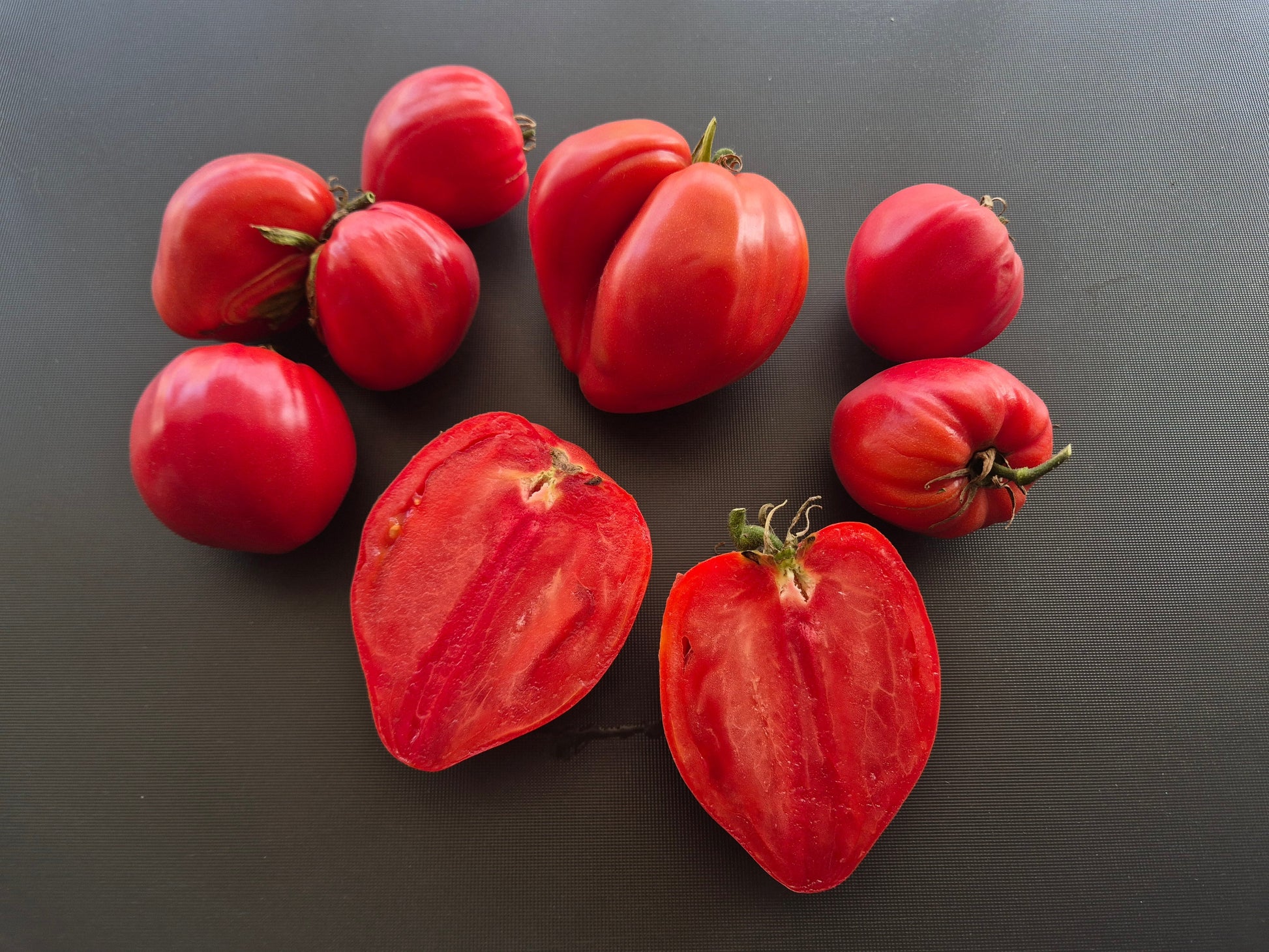 Oscar Gonthier DER TOMATENFLÜSTERER