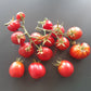 Ovita DER TOMATENFLÜSTERER