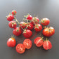 Ovita DER TOMATENFLÜSTERER