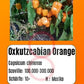 Oxkutzcabian Orange DER TOMATENFLÜSTERER