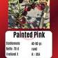 Painted Pink DER TOMATENFLÜSTERER