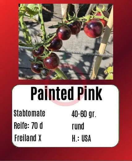Painted Pink DER TOMATENFLÜSTERER