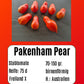 Pakenham Pear DER TOMATENFLÜSTERER