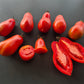 Pakenham Pear DER TOMATENFLÜSTERER