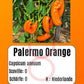 Palermo Orange DER TOMATENFLÜSTERER