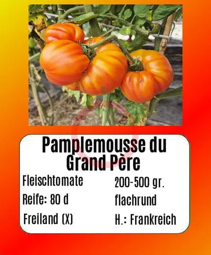 Pamplemousse du Grand Père DER TOMATENFLÜSTERER