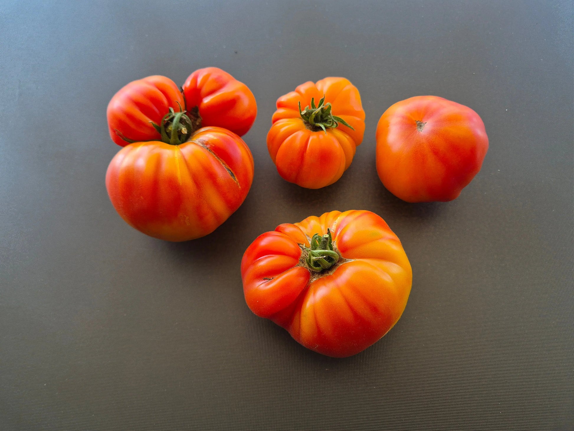 Pamplemousse du Grand Père DER TOMATENFLÜSTERER
