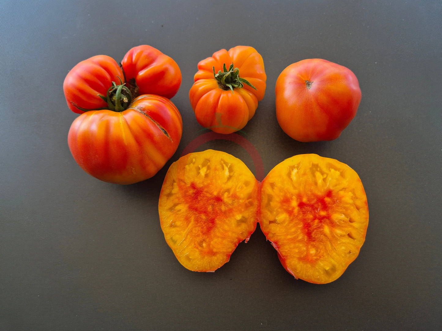 Pamplemousse du Grand Père DER TOMATENFLÜSTERER