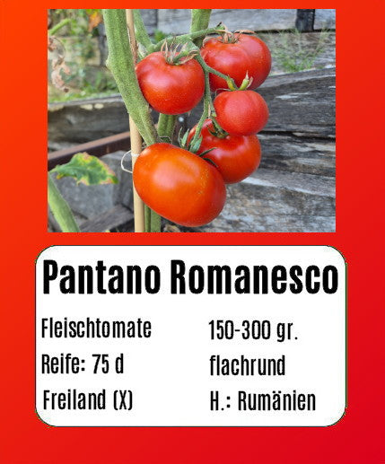 Pantano Romanesco DER TOMATENFLÜSTERER