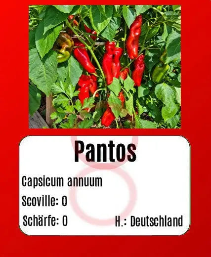 Pantos DER TOMATENFLÜSTERER