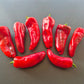 Pantos DER TOMATENFLÜSTERER