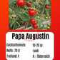 Papa Augustin DER TOMATENFLÜSTERER
