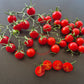 Papa Augustin DER TOMATENFLÜSTERER