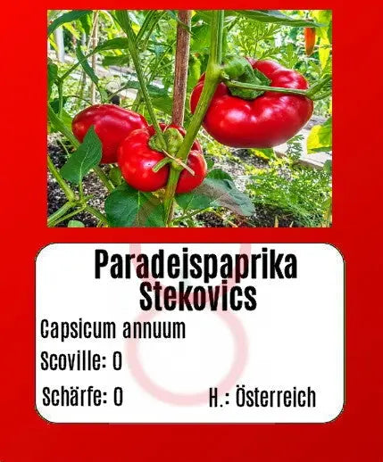Paradeispaprika Stekovics DER TOMATENFLÜSTERER