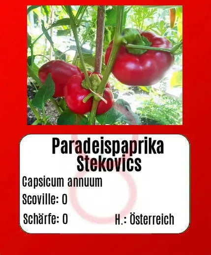Paradeispaprika Stekovics DER TOMATENFLÜSTERER