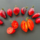 Pascal de Picardie DER TOMATENFLÜSTERER