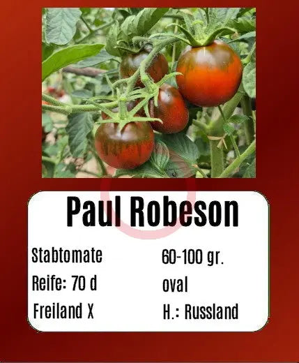 Paul Robeson DER TOMATENFLÜSTERER
