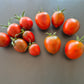 Paul Robeson DER TOMATENFLÜSTERER