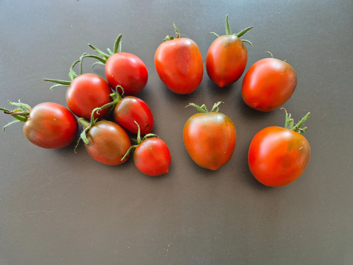 Paul Robeson DER TOMATENFLÜSTERER