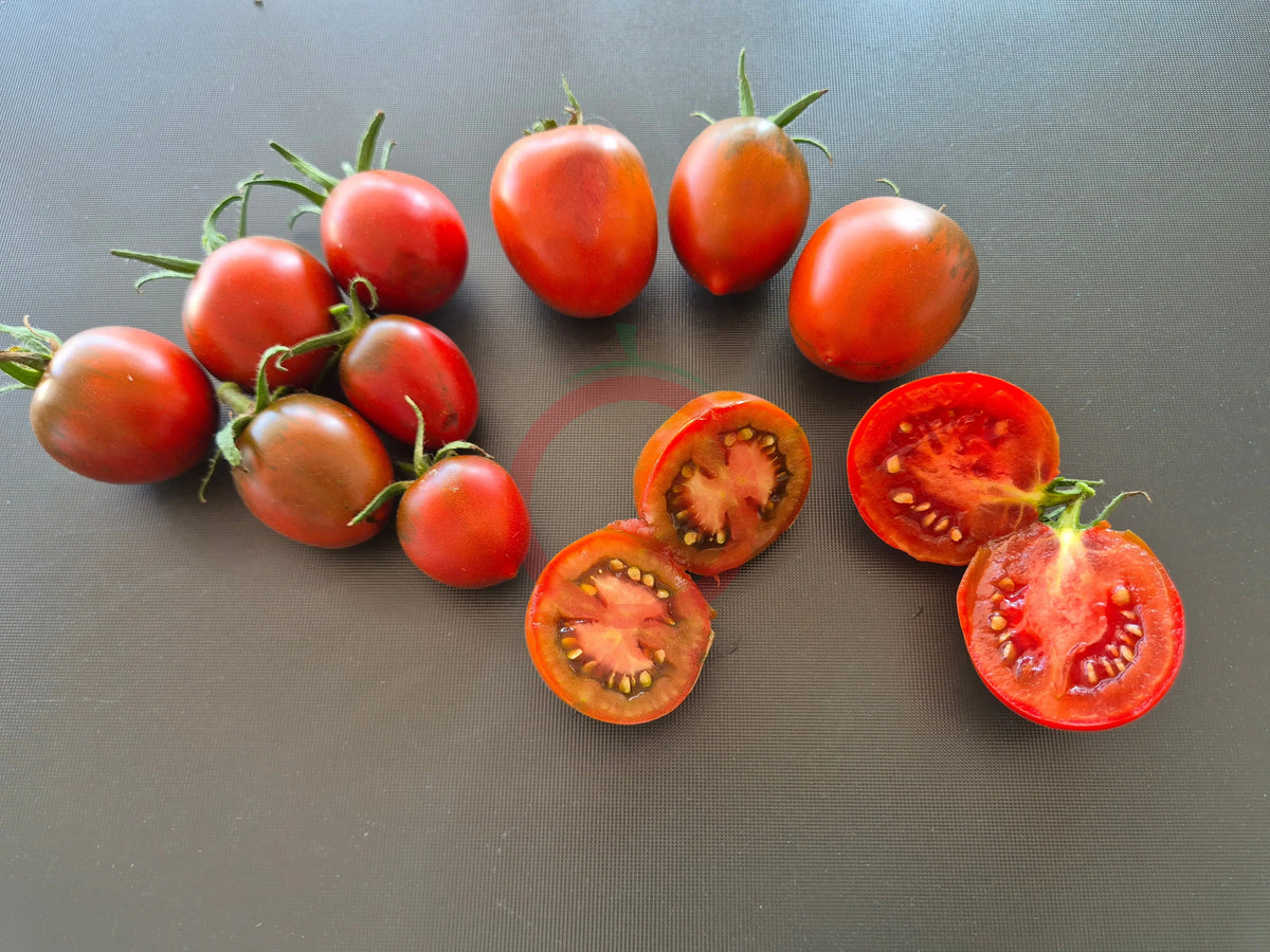 Paul Robeson DER TOMATENFLÜSTERER