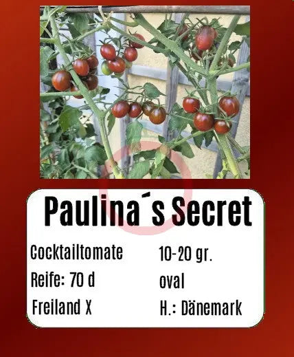 Paulinas Secret DER TOMATENFLÜSTERER