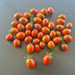 Paulinas Secret DER TOMATENFLÜSTERER