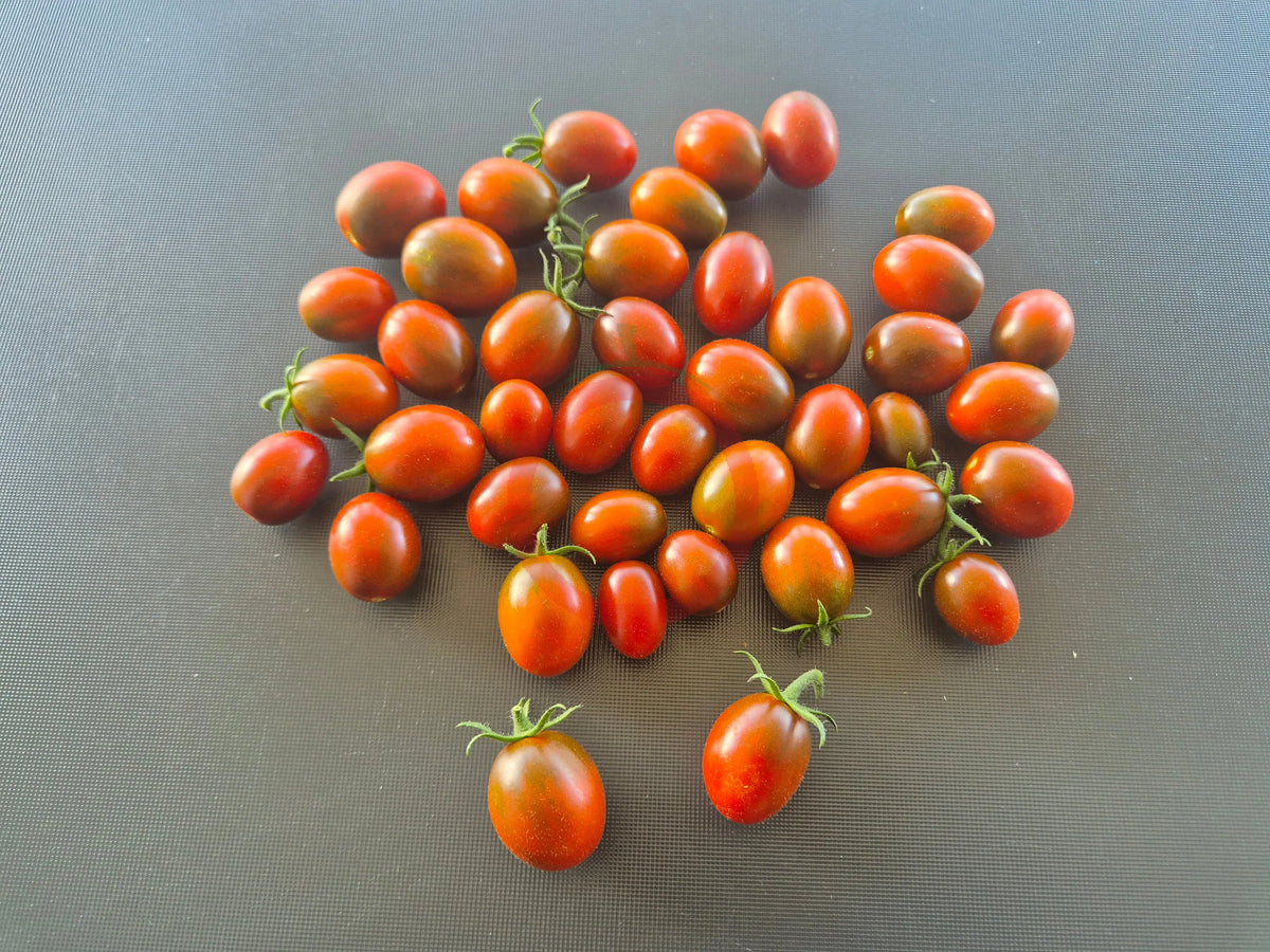 Paulinas Secret DER TOMATENFLÜSTERER