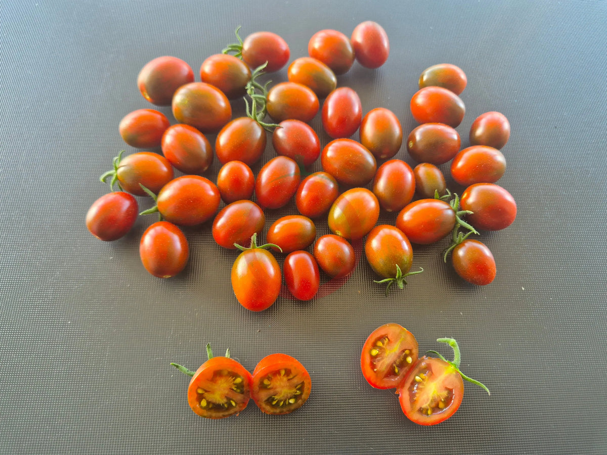 Paulinas Secret DER TOMATENFLÜSTERER