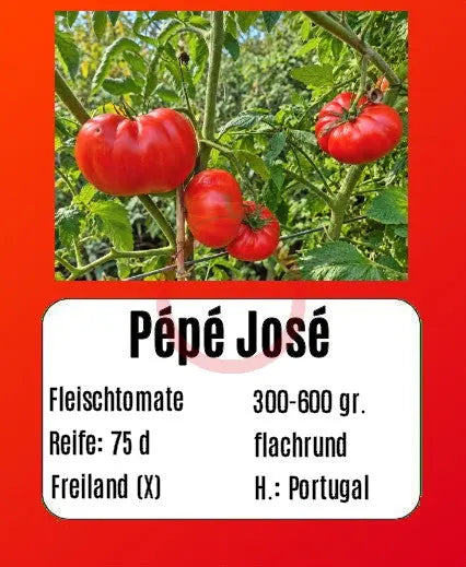 Pépé José DER TOMATENFLÜSTERER