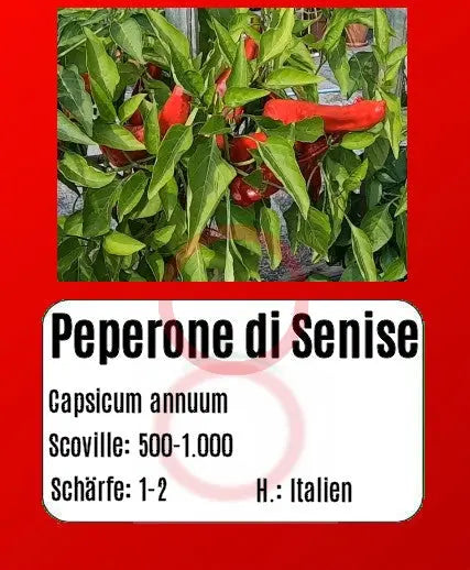 Peperoni di Senise DER TOMATENFLÜSTERER