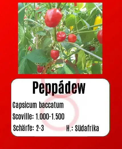 Peppādew DER TOMATENFLÜSTERER