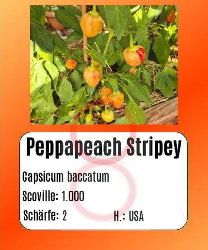 Peppapeach Stripey DER TOMATENFLÜSTERER