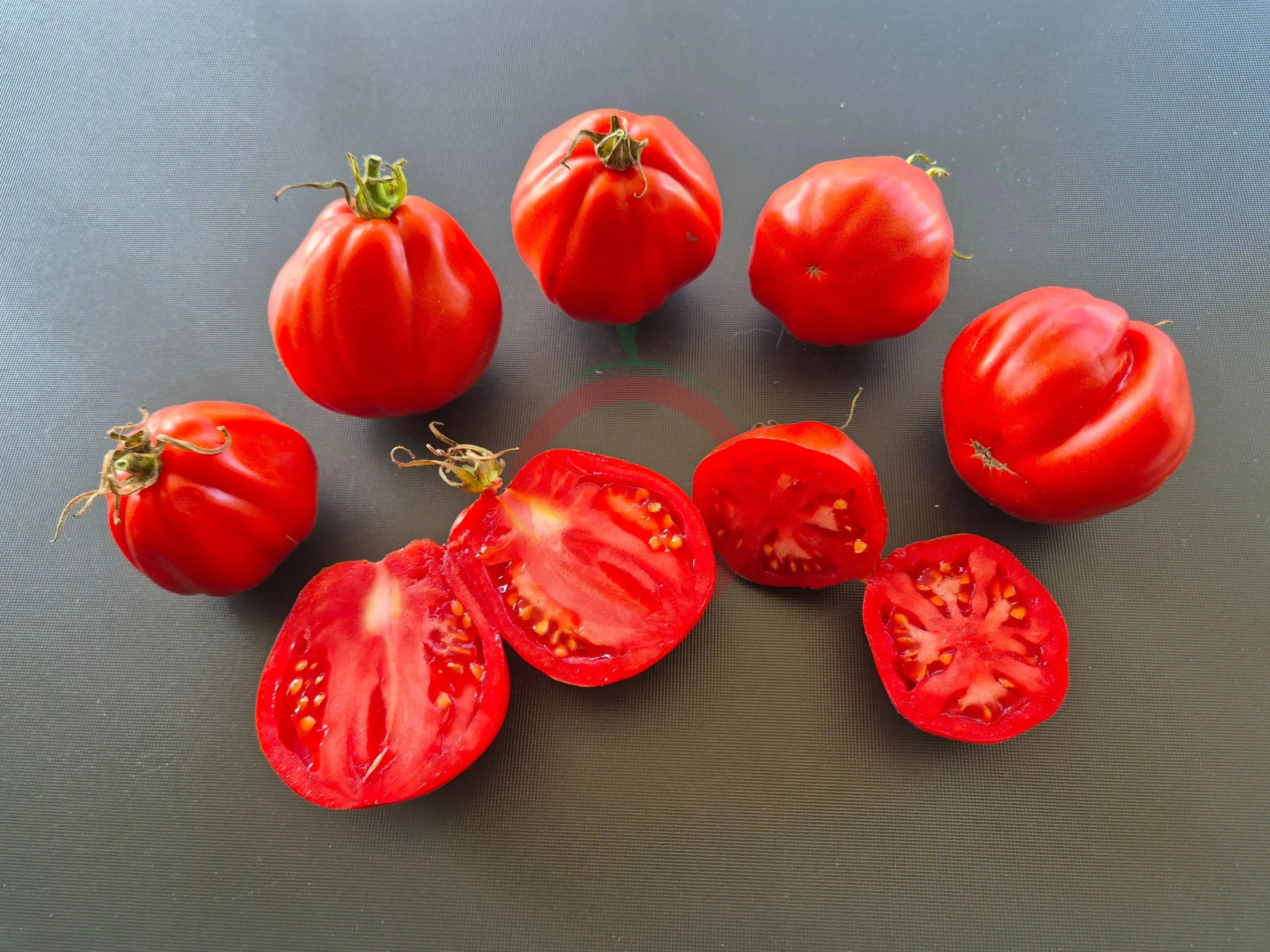 Pera Tijola Almeira DER TOMATENFLÜSTERER